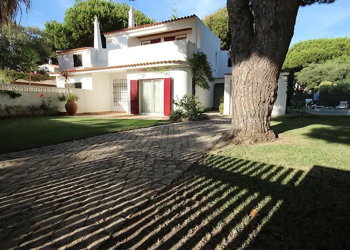 Dantas By Amcf * 维拉摩拉